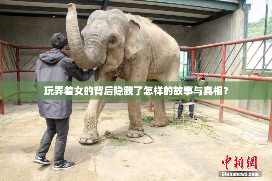 玩弄着女的背后隐藏了怎样的故事与真相？
