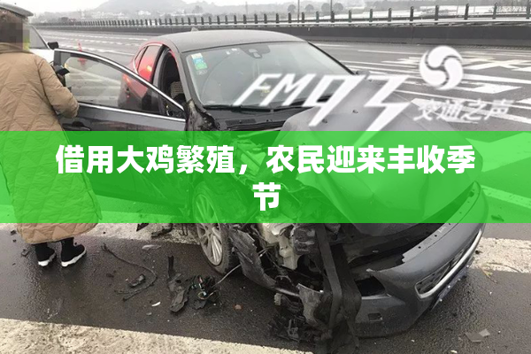 借用大鸡繁殖，农民迎来丰收季节