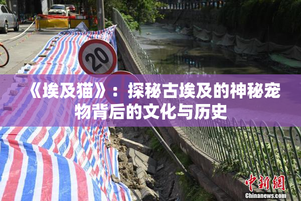 《埃及猫》：探秘古埃及的神秘宠物背后的文化与历史