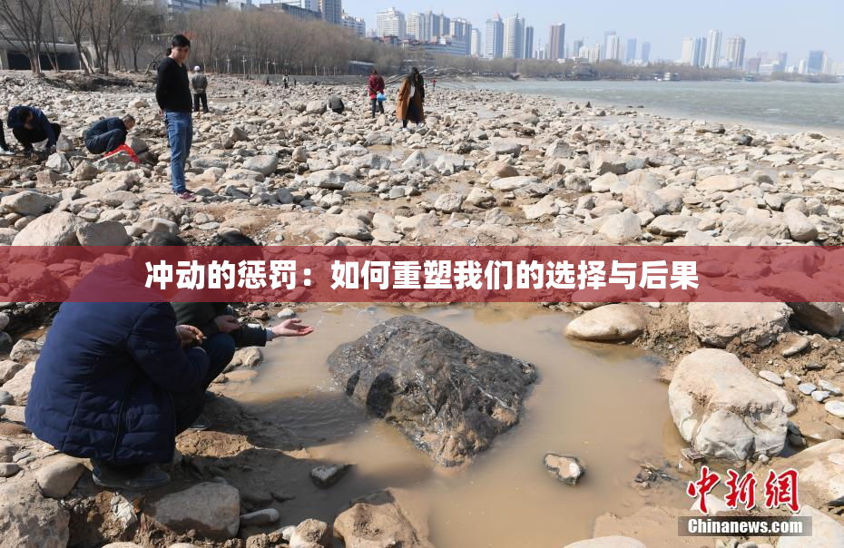 冲动的惩罚：如何重塑我们的选择与后果