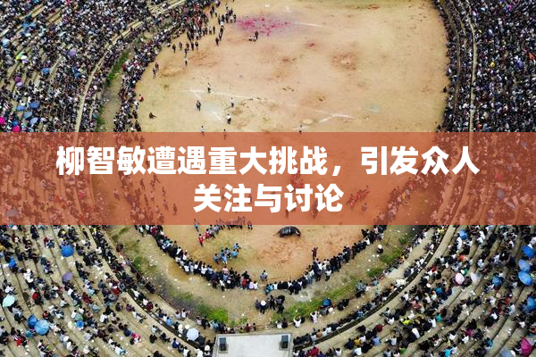 柳智敏遭遇重大挑战，引发众人关注与讨论
