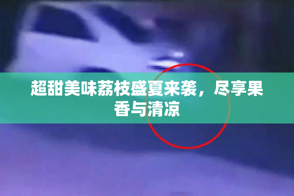 超甜美味荔枝盛夏来袭，尽享果香与清凉