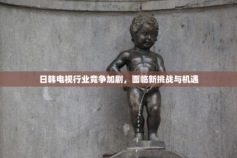 日韩电视行业竞争加剧，面临新挑战与机遇