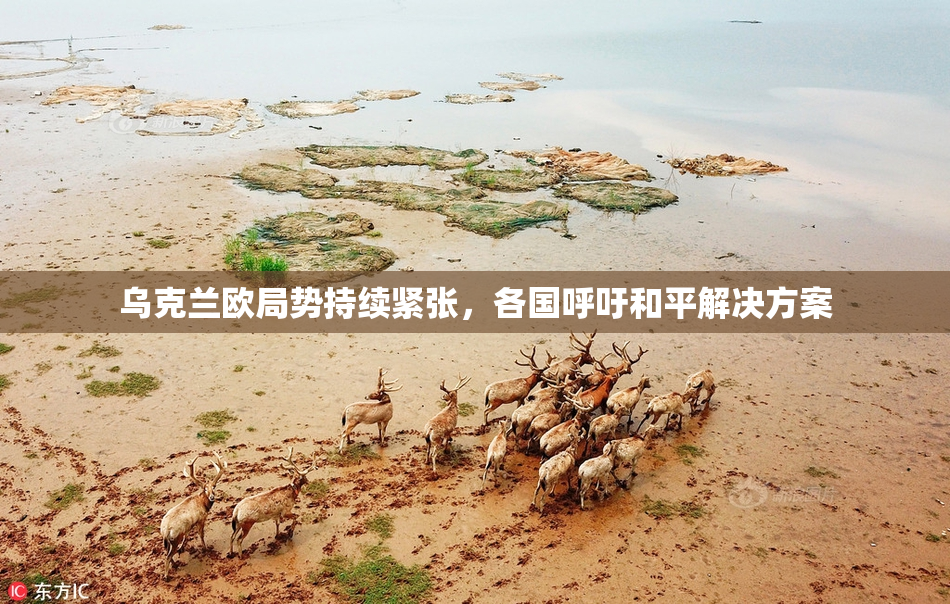 乌克兰欧局势持续紧张，各国呼吁和平解决方案