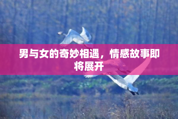男与女的奇妙相遇，情感故事即将展开