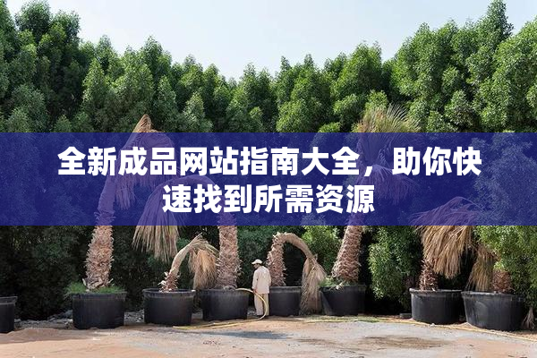 全新成品网站指南大全，助你快速找到所需资源
