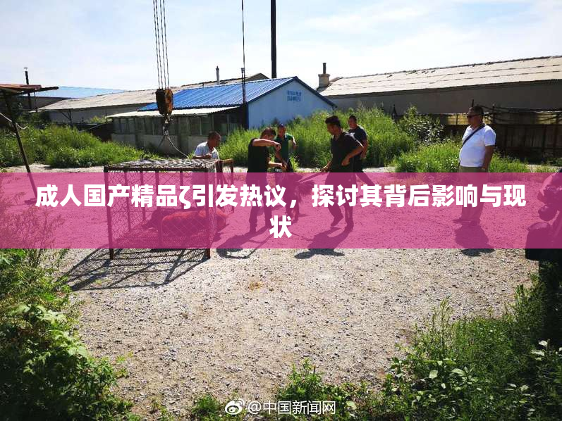 成人国产精品ζ引发热议，探讨其背后影响与现状