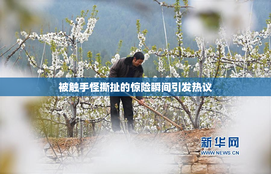 被触手怪撕扯的惊险瞬间引发热议