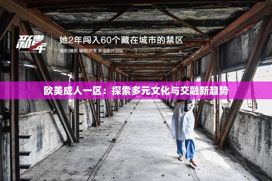 欧美成人一区：探索多元文化与交融新趋势