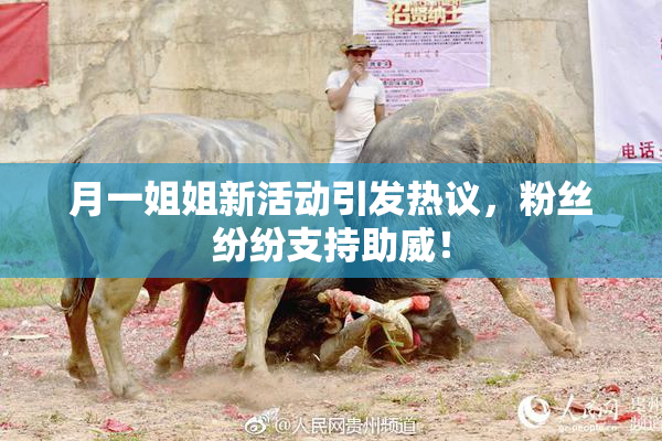 月一姐姐新活动引发热议，粉丝纷纷支持助威！