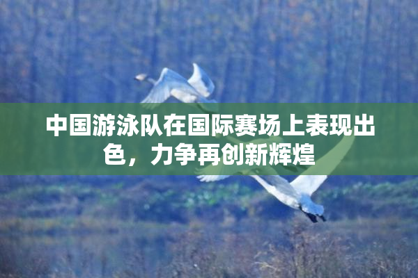 中国游泳队在国际赛场上表现出色，力争再创新辉煌