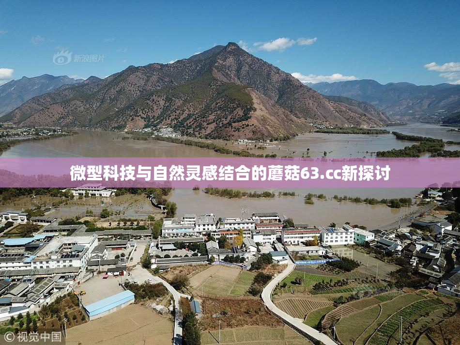 微型科技与自然灵感结合的蘑菇63.㏄新探讨