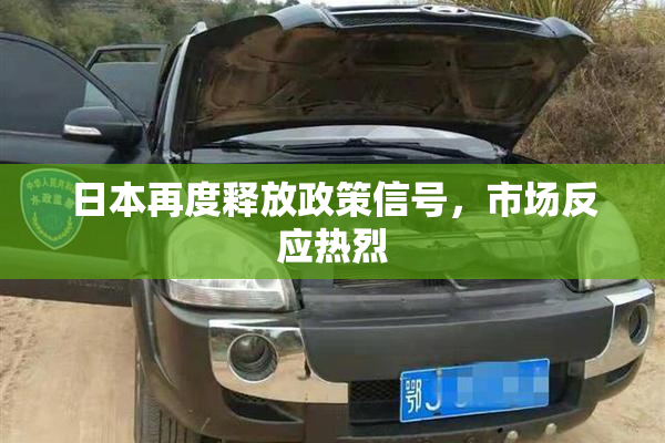 日本再度释放政策信号，市场反应热烈