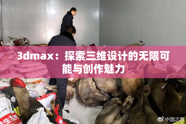 3dmax：探索三维设计的无限可能与创作魅力