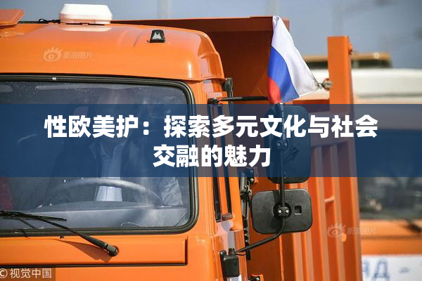 性欧美护：探索多元文化与社会交融的魅力