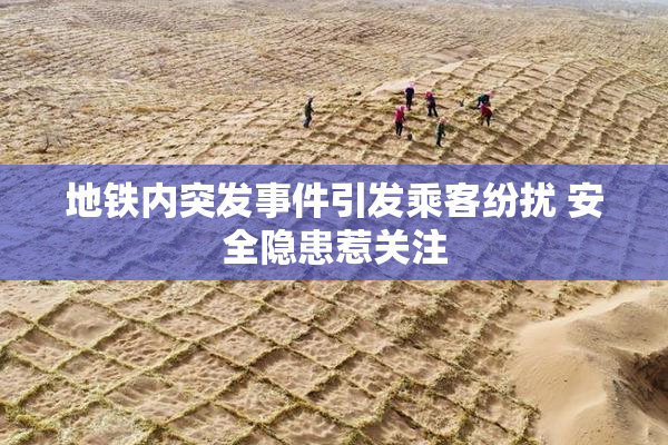 地铁内突发事件引发乘客纷扰 安全隐患惹关注