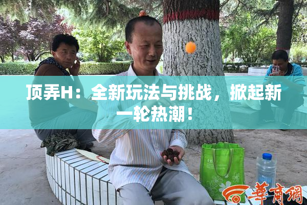 顶弄H：全新玩法与挑战，掀起新一轮热潮！