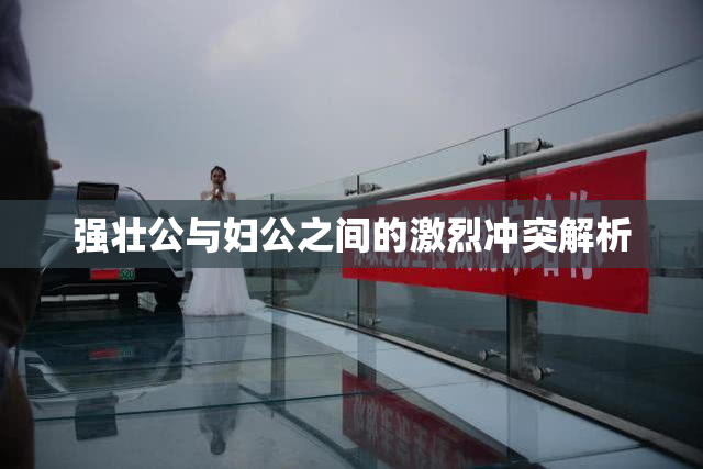 强壮公与妇公之间的激烈冲突解析