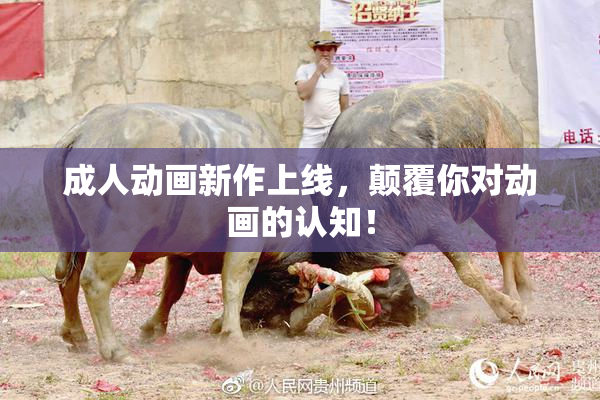 成人动画新作上线，颠覆你对动画的认知！