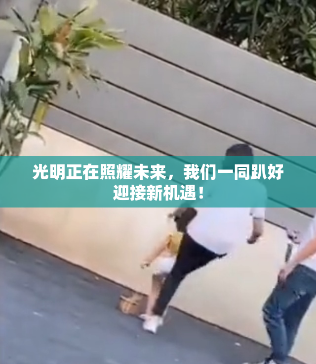 光明正在照耀未来，我们一同趴好迎接新机遇！