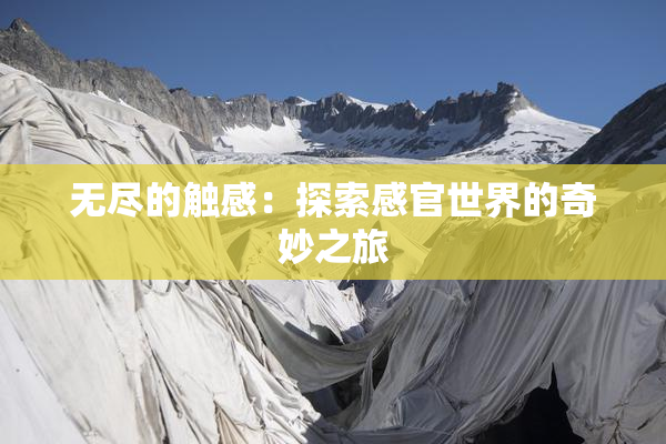 无尽的触感：探索感官世界的奇妙之旅
