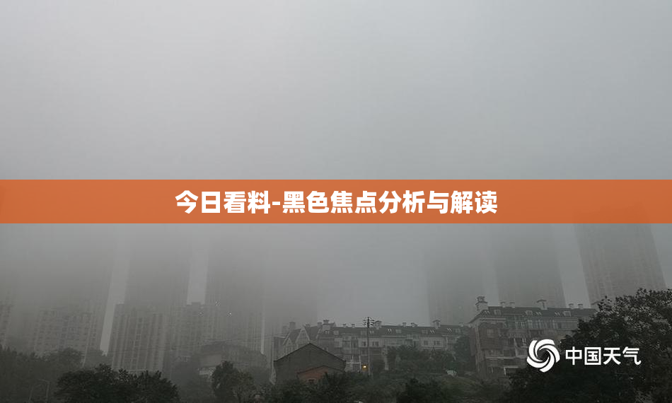 今日看料-黑色焦点分析与解读