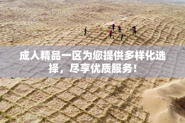 成人精品一区为您提供多样化选择，尽享优质服务！