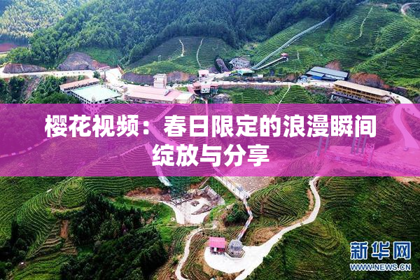 樱花视频：春日限定的浪漫瞬间绽放与分享