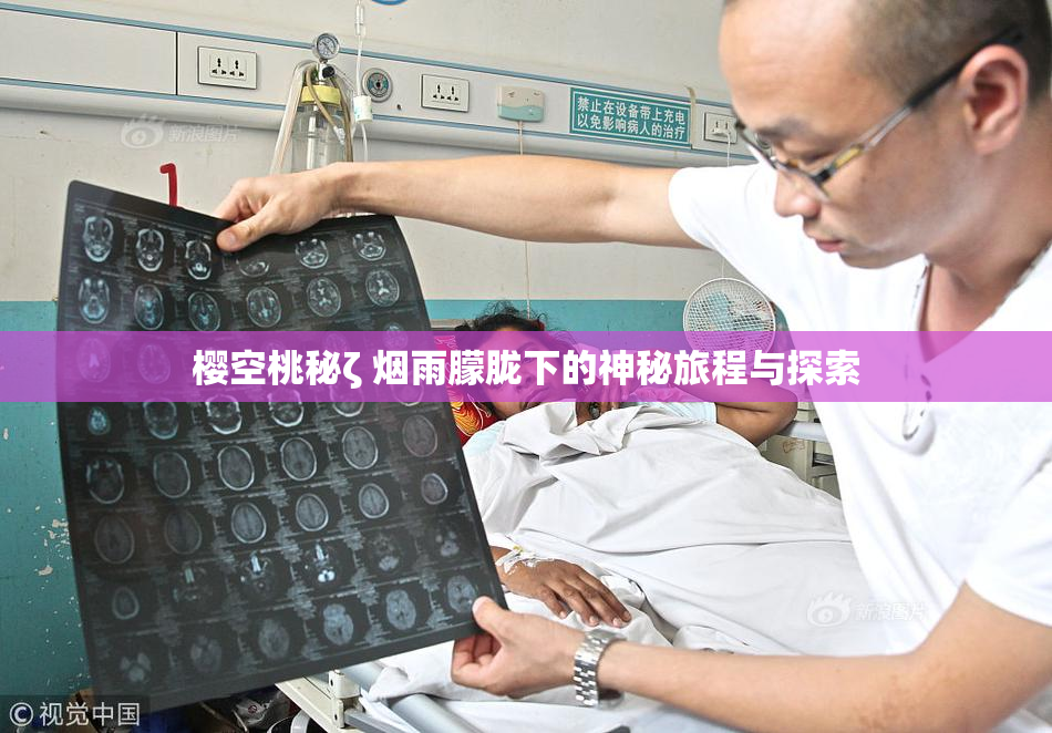樱空桃秘ζ 烟雨朦胧下的神秘旅程与探索