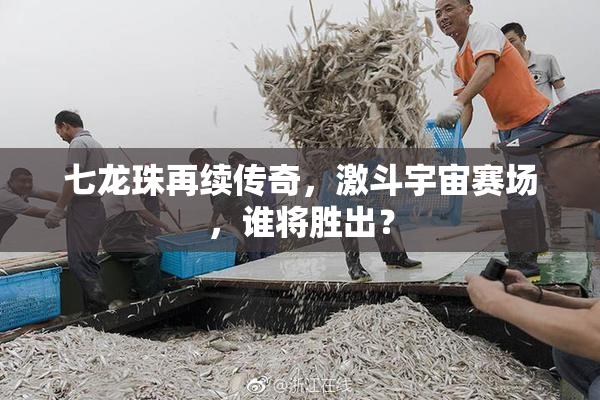 七龙珠再续传奇，激斗宇宙赛场，谁将胜出？
