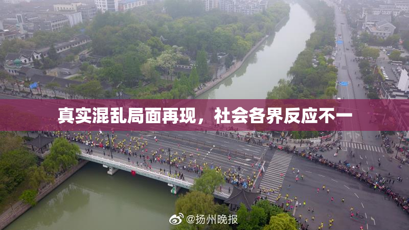 真实混乱局面再现，社会各界反应不一