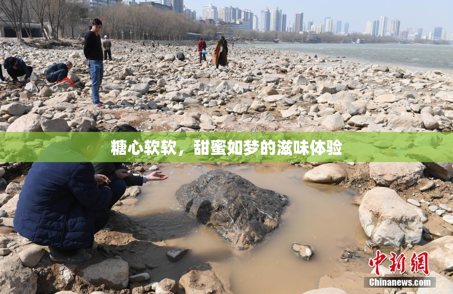糖心软软，甜蜜如梦的滋味体验
