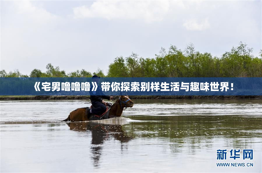 《宅男噜噜噜》带你探索别样生活与趣味世界！