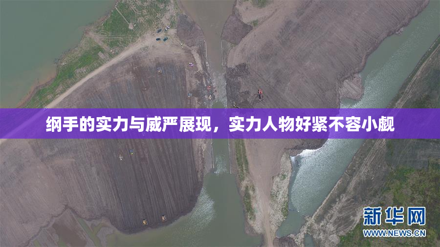 纲手的实力与威严展现，实力人物好紧不容小觑