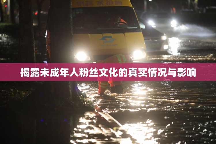 揭露未成年人粉丝文化的真实情况与影响