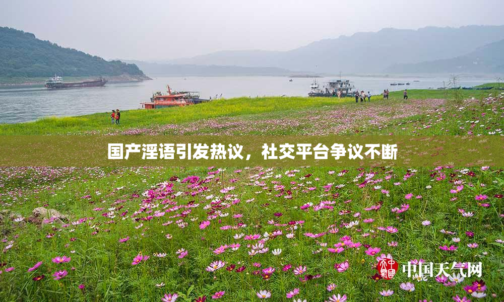 国产淫语引发热议，社交平台争议不断