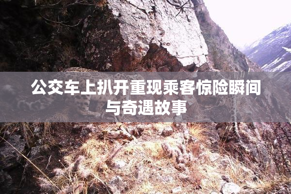 公交车上扒开重现乘客惊险瞬间与奇遇故事