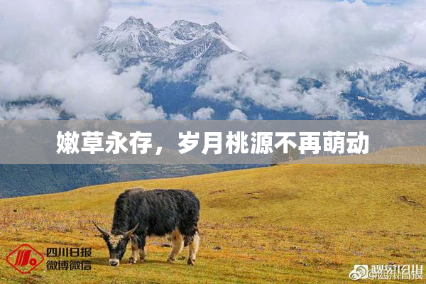 嫩草永存，岁月桃源不再萌动