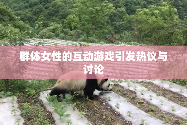 群体女性的互动游戏引发热议与讨论
