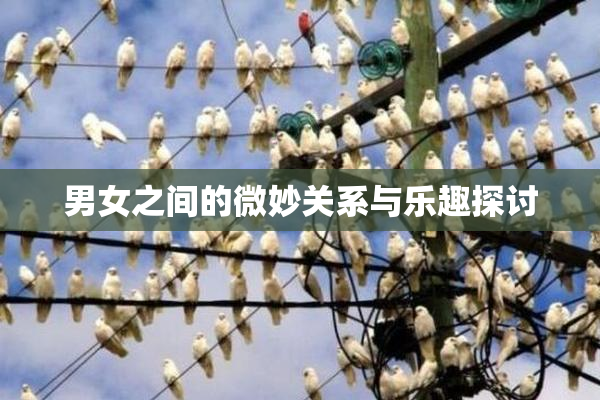 男女之间的微妙关系与乐趣探讨