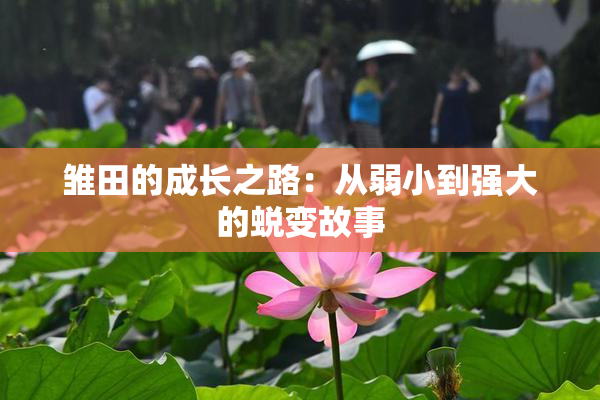 雏田的成长之路：从弱小到强大的蜕变故事