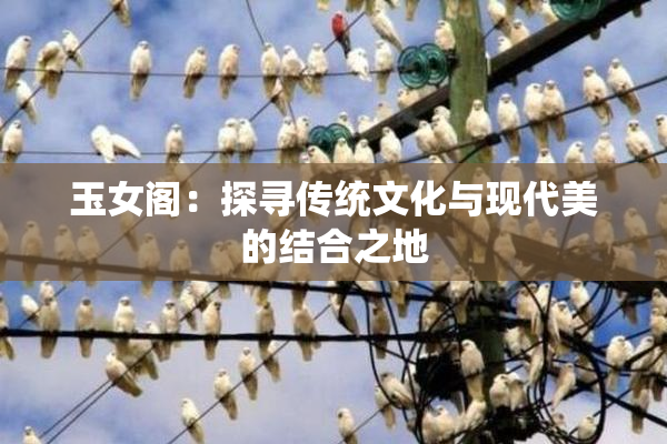 玉女阁：探寻传统文化与现代美的结合之地