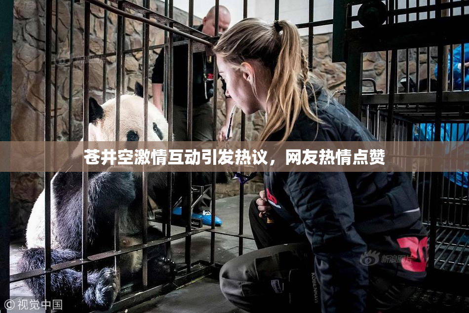 苍井空激情互动引发热议，网友热情点赞