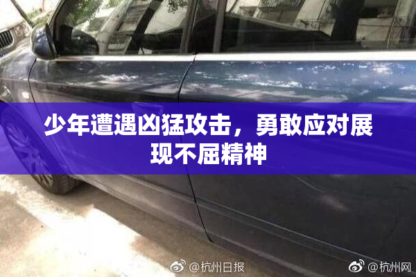 少年遭遇凶猛攻击，勇敢应对展现不屈精神