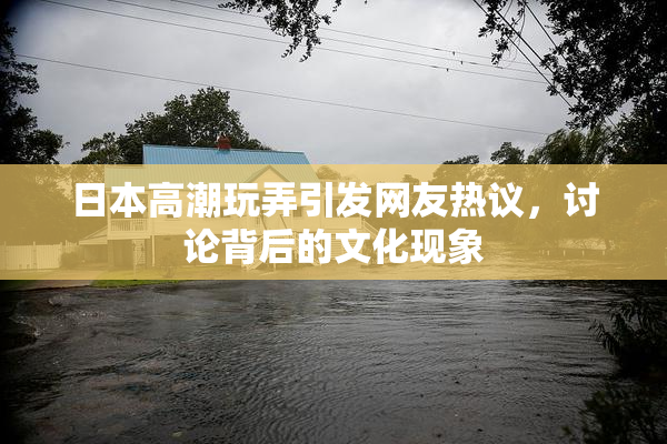 日本高潮玩弄引发网友热议，讨论背后的文化现象
