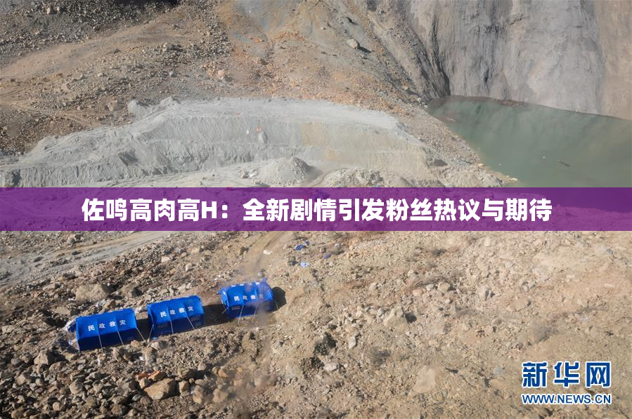 佐鸣高肉高H：全新剧情引发粉丝热议与期待