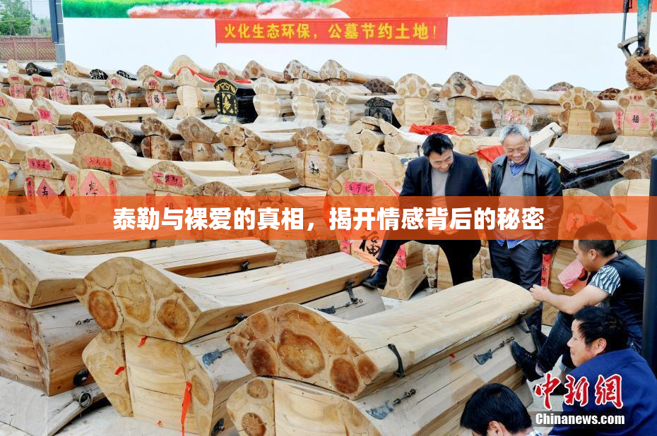 泰勒与裸爱的真相，揭开情感背后的秘密