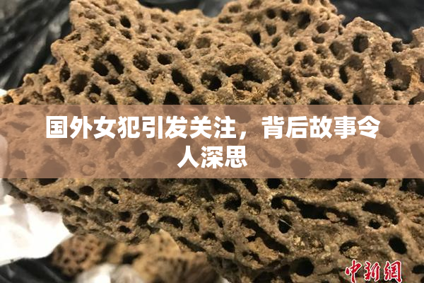国外女犯引发关注，背后故事令人深思
