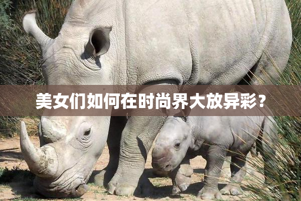 美女们如何在时尚界大放异彩？