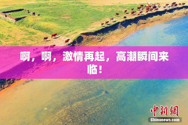 啊，啊，激情再起，高潮瞬间来临！